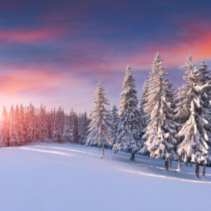 Christmas Gift Card